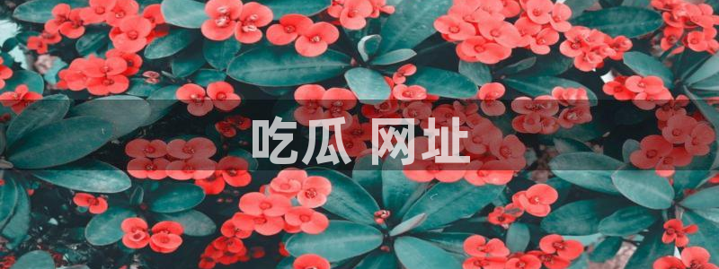 51吃瓜全网最快的吃瓜网站:吃瓜 网址