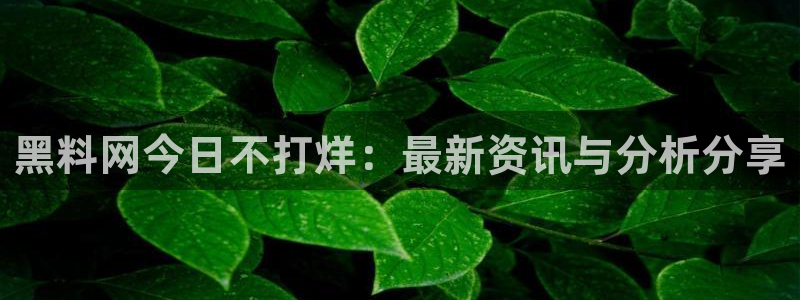 51吃瓜今日吃瓜入口最新:黑料网今日不打烊:最新资讯与分析分享