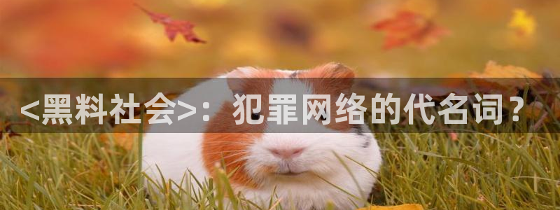 91吃瓜网今日吃瓜入口:<黑料社会>:犯罪网络的代名词?