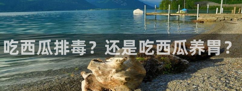 51cg吃瓜网每日吃瓜:吃西瓜排毒?还是吃西瓜养胃?