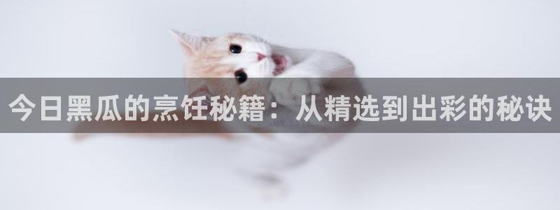 51吃瓜全网更新最快的吃瓜网:今日黑瓜的烹饪秘籍:从精选到出彩的秘诀